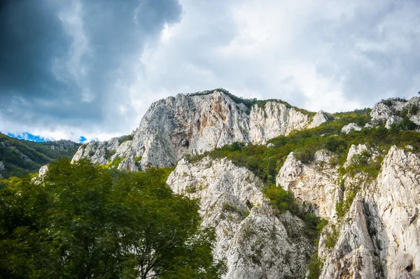 Naturen i Serbien — Stockfoto