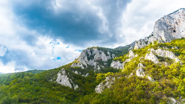 Naturaleza de Serbia — Foto de Stock