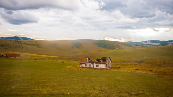 Natureza da Sérvia — Fotografia de Stock