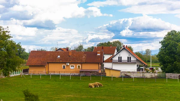 Naturen i Serbien — Stockfoto