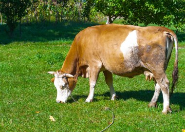 Karadağ'ın kuzey kesiminde