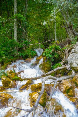 Tara nehir, Karadağ