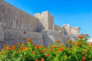 eski şehir dubrovnik (croatia