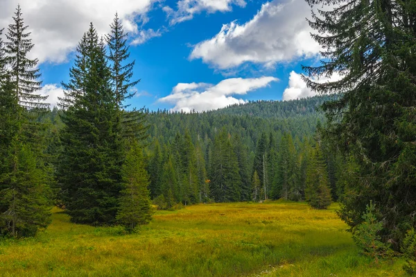 Black Lake, Northern Part of Montenegro — Stock Photo, Image