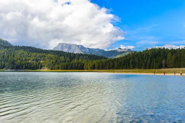 Black Lake, Northern Part of Montenegro — Stock Photo, Image