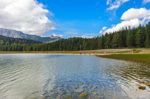 Black Lake, Northern Part of Montenegro — Stock Photo, Image