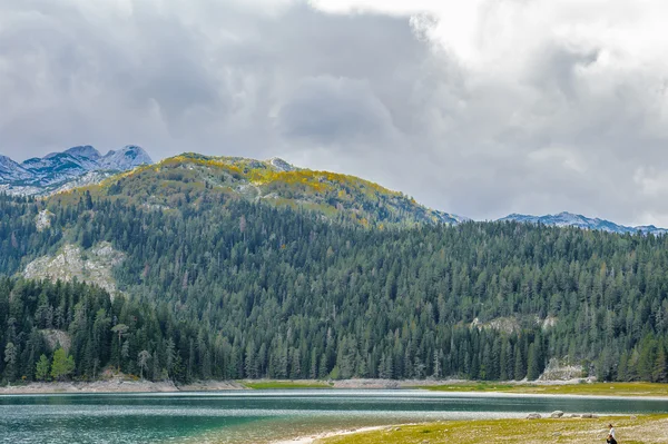 Černé jezero, severní části Černé hory — Stock fotografie