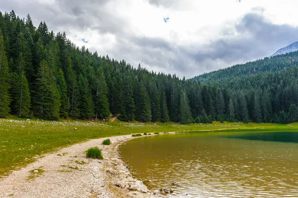 Black Lake, Northern Part of Montenegro — Stock Photo, Image