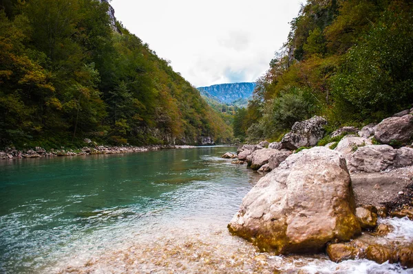 Tara folyó, Montenegró — Stock Fotó