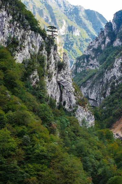 Fiume Tara, Montenegro — Foto Stock