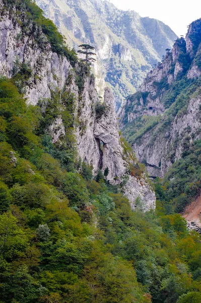 Tara nehir, Karadağ — Stok fotoğraf