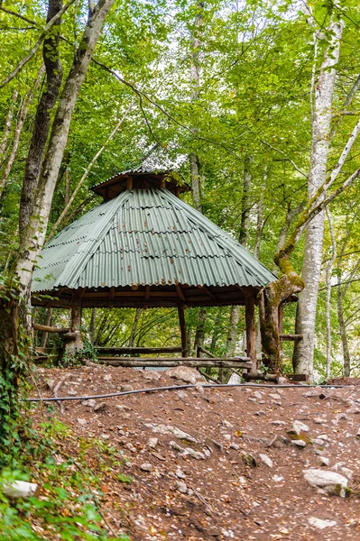 Fiume Tara, Montenegro — Foto Stock