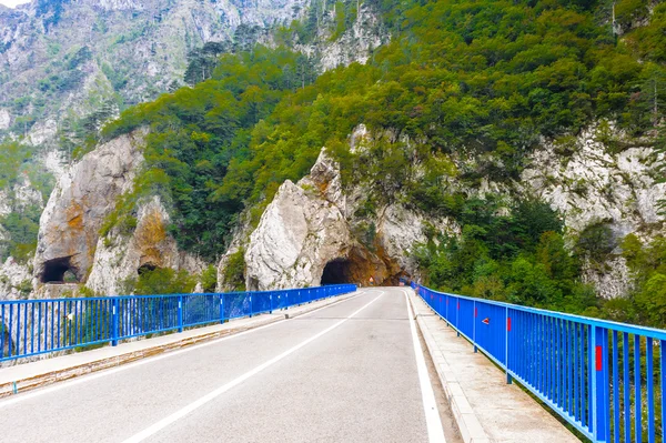 塔拉河黑山 — 图库照片