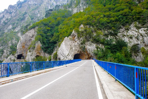 Tara nehir, Karadağ — Stok fotoğraf