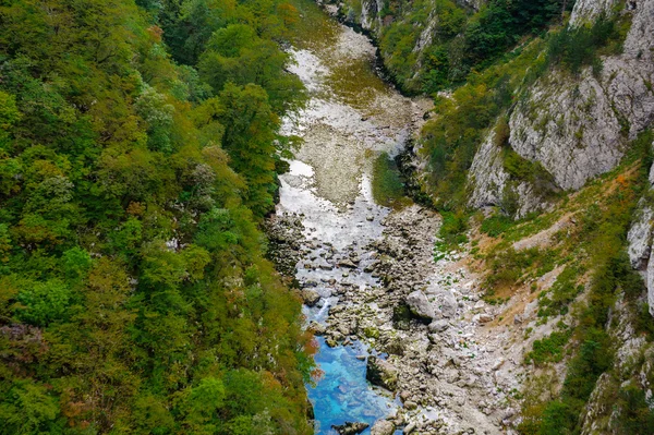 Tara Fluss, Montenegro — Stockfoto