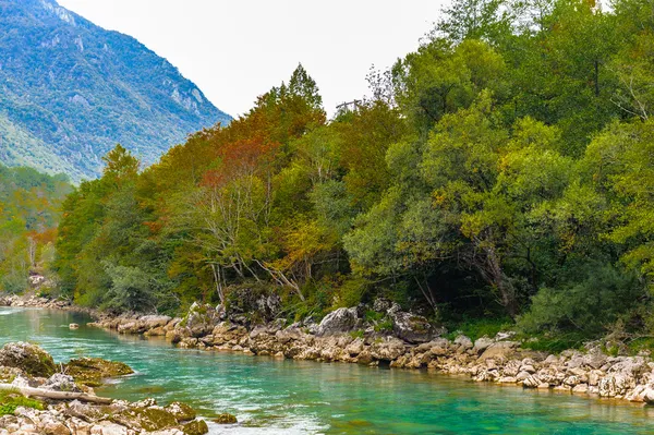 Tara Fluss, Montenegro — Stockfoto