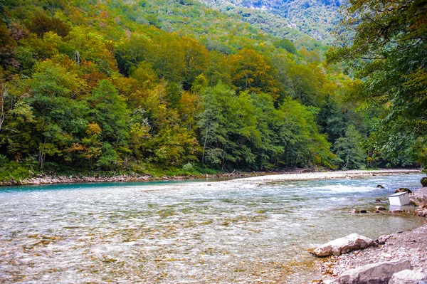 Tara folyó, Montenegró — Stock Fotó