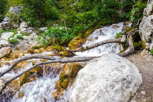 Tara River, Montenegro — Stockfoto