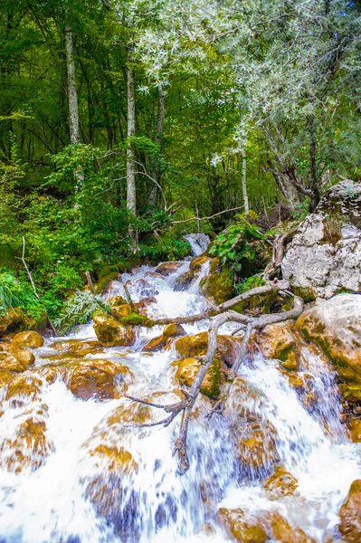 Río Tara, Montenegro — Foto de Stock