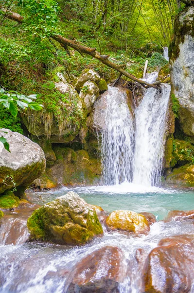 Río Tara, Montenegro — Foto de Stock