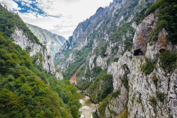 Tara Fluss, Montenegro — Stockfoto