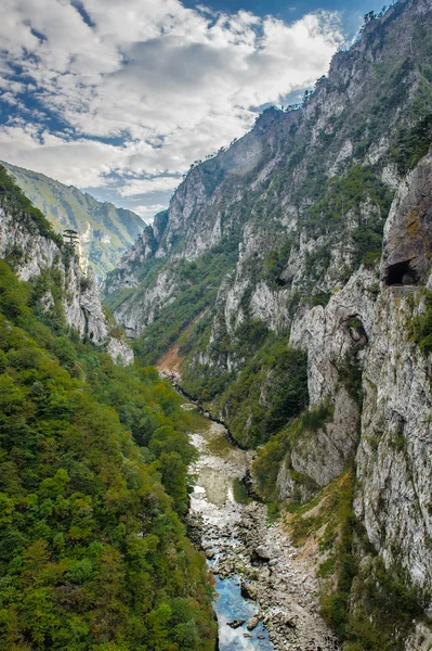 Tara Fluss, Montenegro — Stockfoto