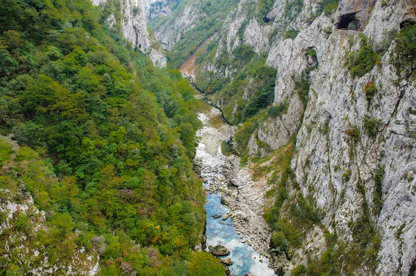 Tara River, Montenegro — Stockfoto
