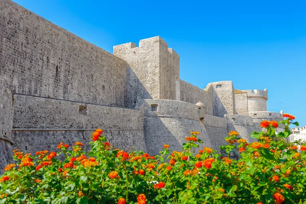 Gamla staden i dubrovnik (Kroatien — Stockfoto