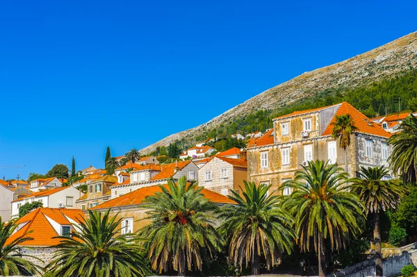 Città Vecchia di Dubrovnik (Croazia) ) — Foto Stock