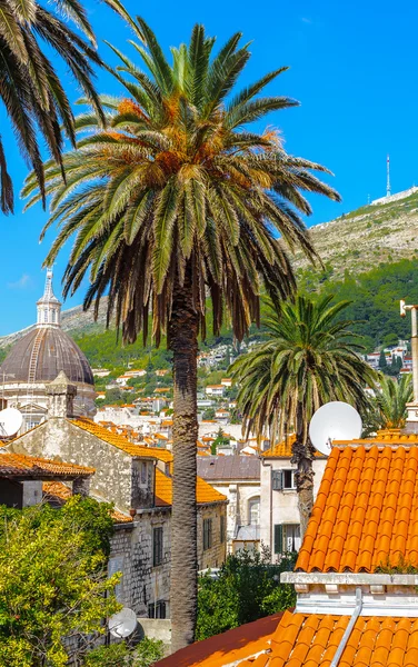 Cidade Velha de Dubrovnik (Croácia ) — Fotografia de Stock