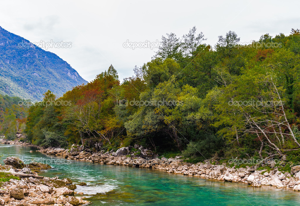 Tara river, Montenegro