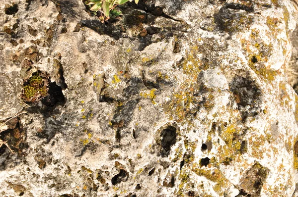 A textura da pedra — Fotografia de Stock