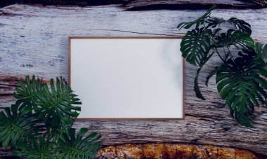 Doğa, temizlik odasındaki beyaz tahta ve üç boyutlu çizimler ile modellenir. 