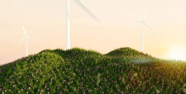 Turbina Eólica Com Campos Flores Pôr Sol Energia Verde Conceito — Fotografia de Stock