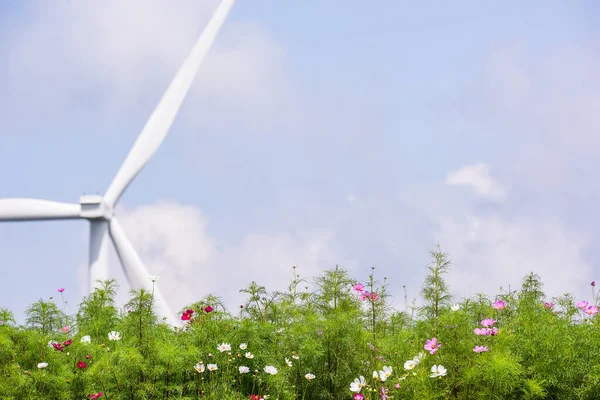 Beatiful Cosmos Flower Field Wind Turbine — Foto de Stock