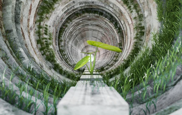 Small Plant Grass Cemen Tunnel Illustration Rendering — Zdjęcie stockowe