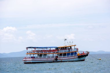 Yolcu gemisi limanına yüzen 