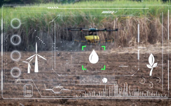 Inteligentny Rolnik Pracujący Dronem Rolniczym Rozpylający Drony Nawożące Gospodarstwie Trzciny — Zdjęcie stockowe