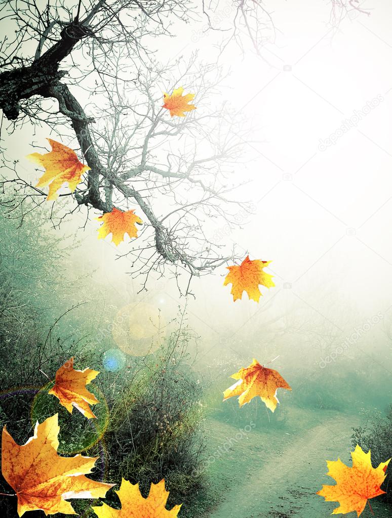 Autumn poster with foggy forest and falling yellow maple leaves