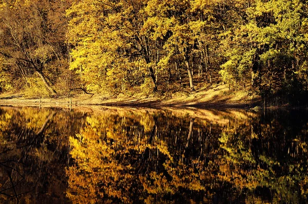 Belle forêt d'automne reflétant dans l'eau — Photo