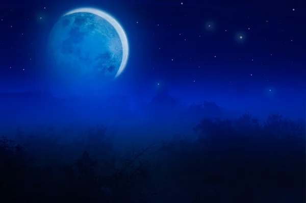 gece ay ışığı manzarası