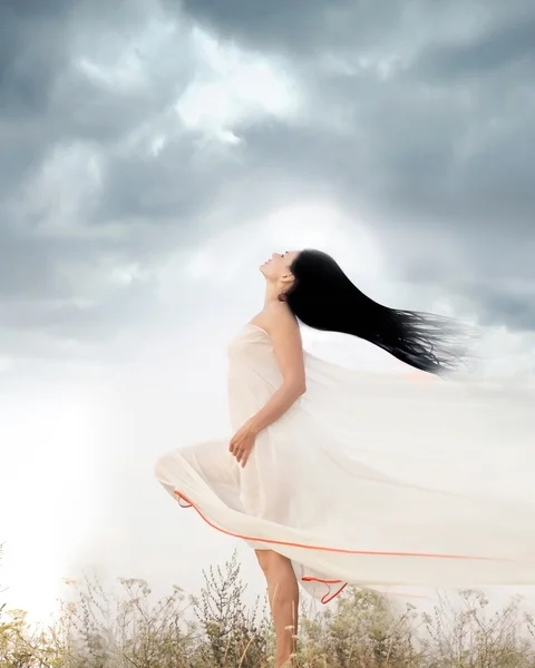 Portrait of beautiful young woman standing in a field with wind blowing her long hair — Stock Photo, Image