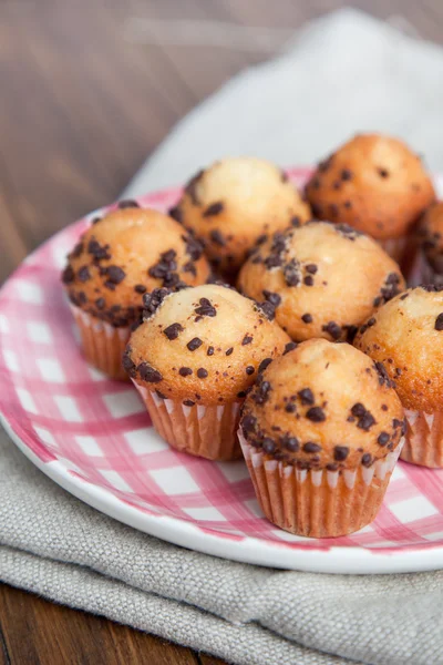 Σοκολάτα cupcakes muffins — Φωτογραφία Αρχείου