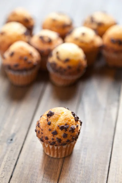 Muffins aux cupcakes au chocolat — Photo