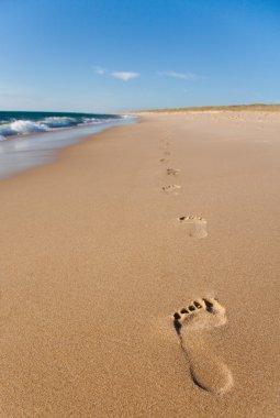 Concepto de vacaciones