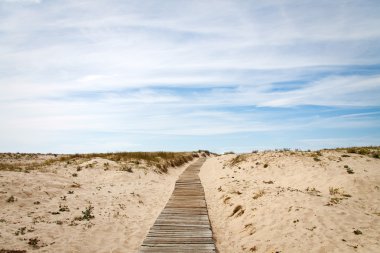 Camino a la playa