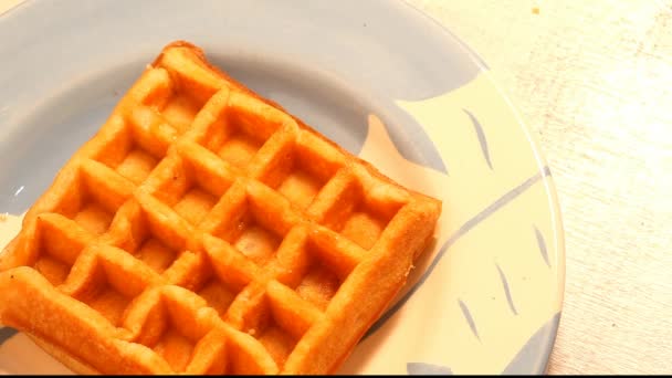 Gofre Waffel mit Sirup — Stockvideo