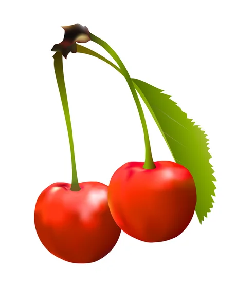 Bagas de cereja vermelhas com licença verde —  Vetores de Stock