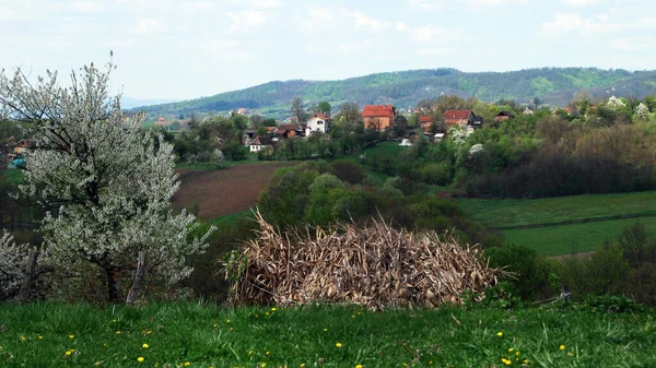 Panorama Doliny Rzeki Jadar Zachodniej Serbii Pobliżu Miasta Loznica — Zdjęcie stockowe