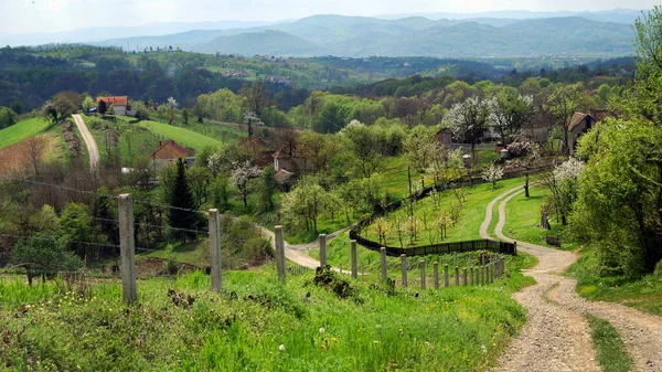 Panorama Della Valle Del Fiume Jadar Nella Serbia Occidentale Vicino — Foto Stock